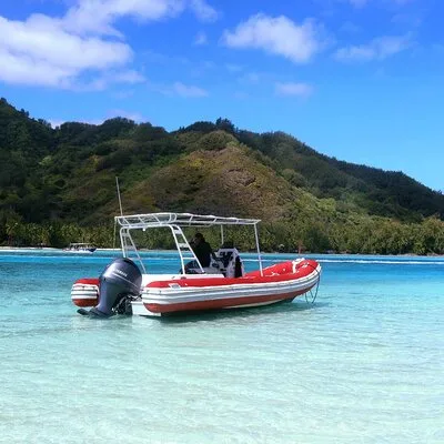 Private excursion Half day Moorea Discovery of the lagoon