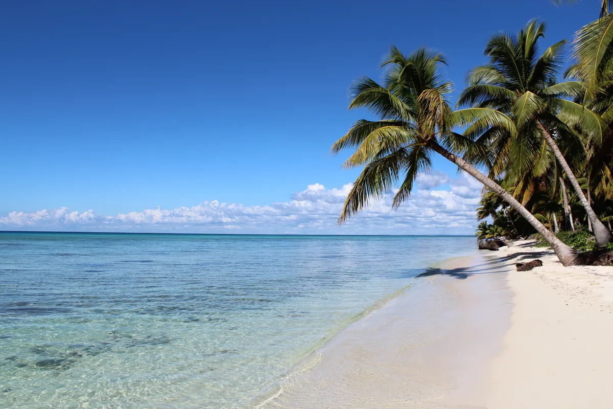 Saona Island Full-Day Small Group Tour with Breakfast, Lunch, Snorkeling, and Open Bar
