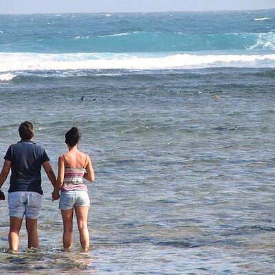 Spot Travel Tours