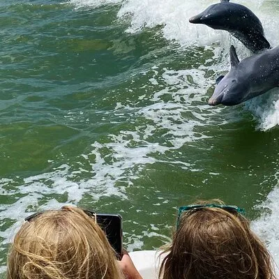 Marco Island and 10, 000 Islands Sightseeing with Dolphin Tour