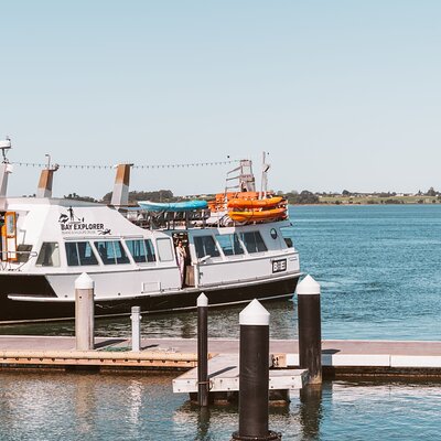 3 Hour Tauranga Scenic Cruise