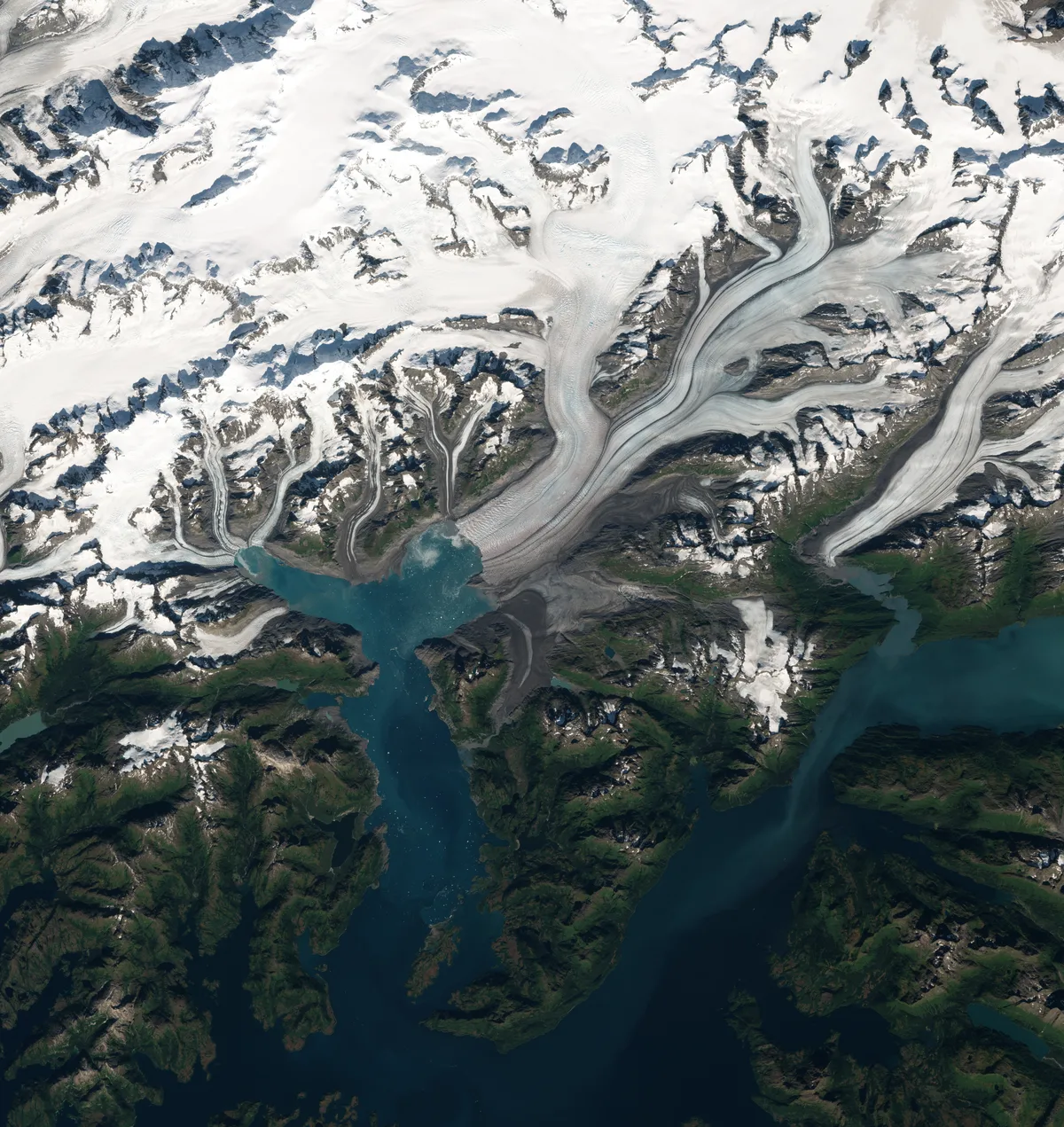 Columbia Glacier Boat Cruise in Alaska from Valdez
