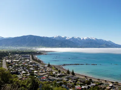 Whale Watching Flight over Kaikoura Whale Sanctuary