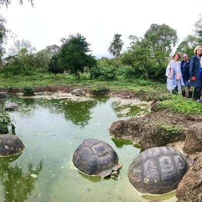 Meet a 120-Year-Old Giant Tortoise | Highlands & Lava Tour
