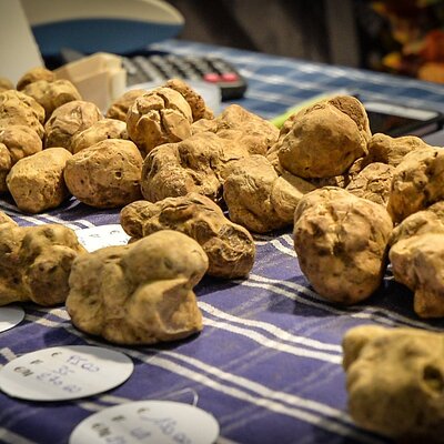 Alba Truffle Fair: Guided Tour and Skip-the-Line Access