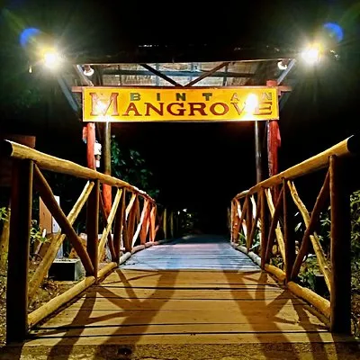Bintan Fireflies Discovery Tour