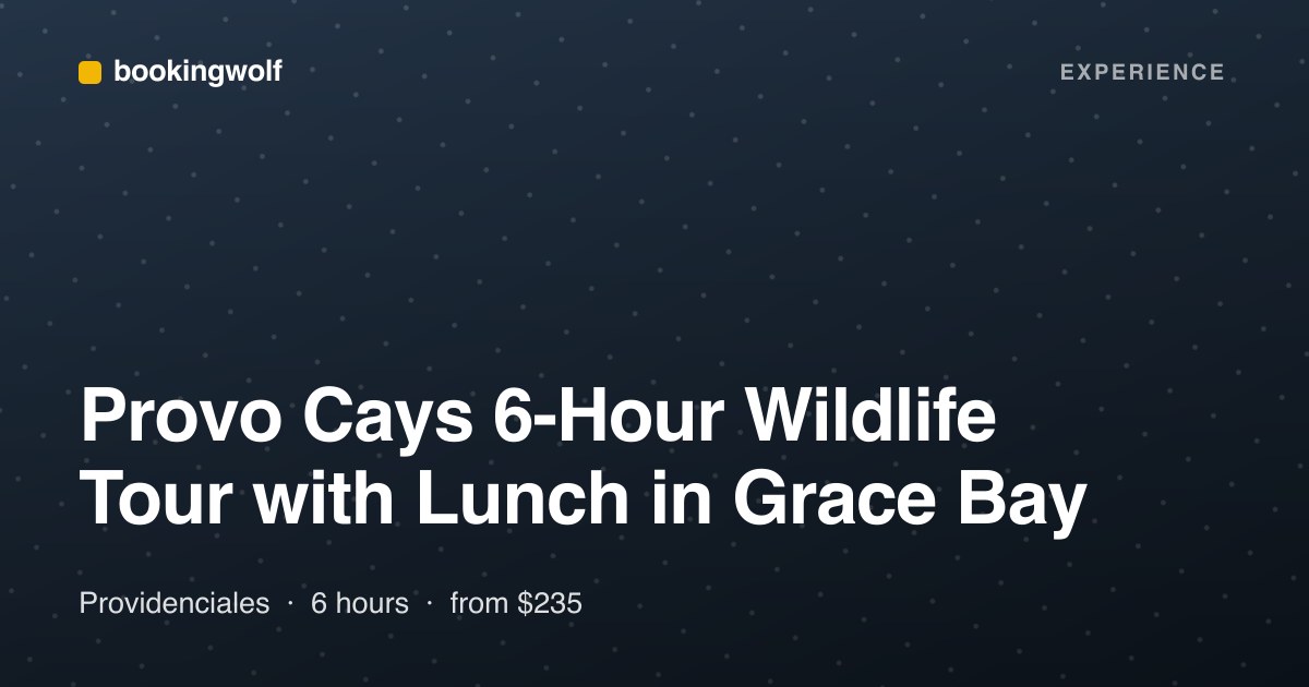 Provo Cays 6-Hour Wildlife Tour with Lunch in Grace Bay