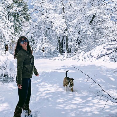 Big Bear Lake Snow Play Adventure