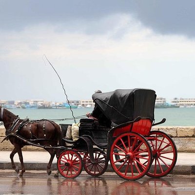 Alexandria Horse Carriage Tour