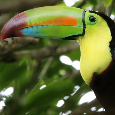 PRIVATE Guided Walk to the Curi Cancha Reserve