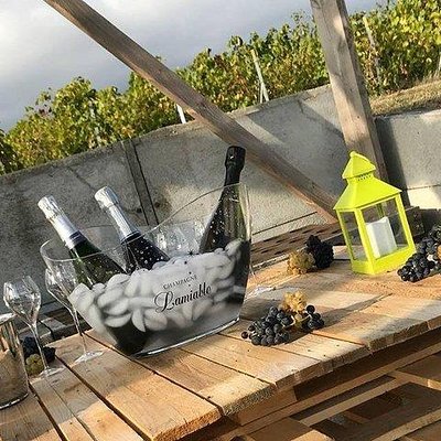 Champagne Lamiable: Stroll and taste in the Grand Cru Champagne vineyard