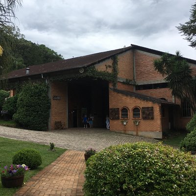 LUCENIO VOLPATO