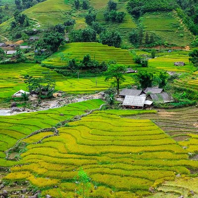 Sapa Original Trek