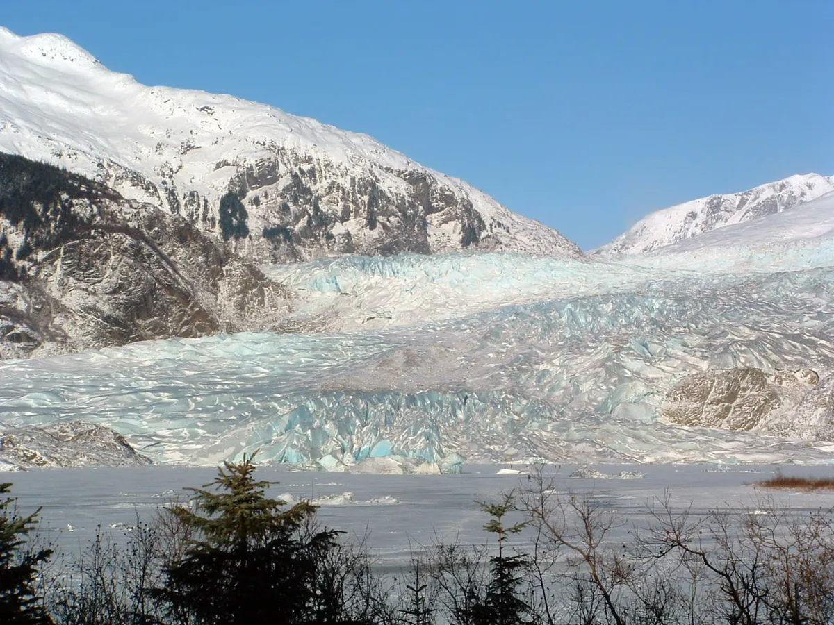 Juneau Wildlife Whale Watching and Mendenhall Glacier 4.5-Hour Tour