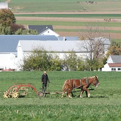 The Amish Farm And House