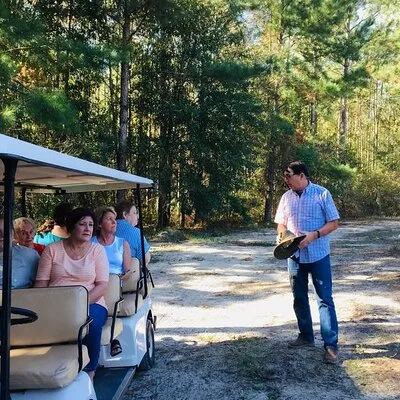 The Olive Grove Tour