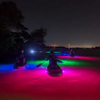 Bioluminescent Comb Jelly & LED Kayak / Paddle board Excursion