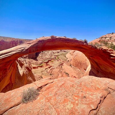 Eggshell Arch Day Tour