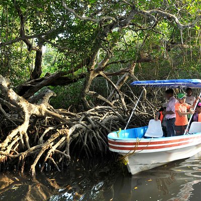 Mandinga And Boat Trip Tour