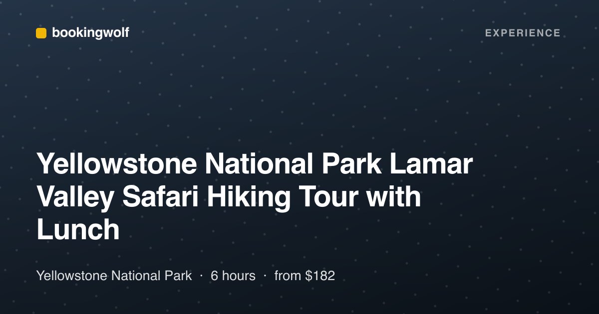 Yellowstone National Park Lamar Valley Safari Hiking Tour with Lunch