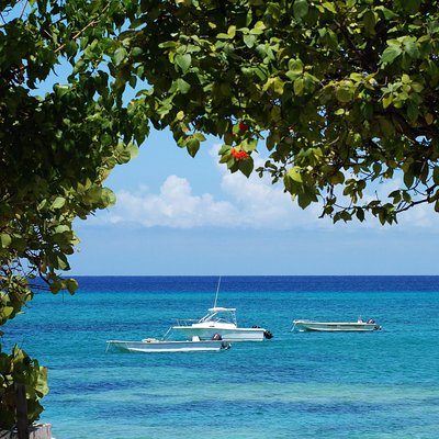 Island Tram Tours