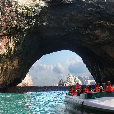 Morning: Ballestas Island tour from Paracas with entrances