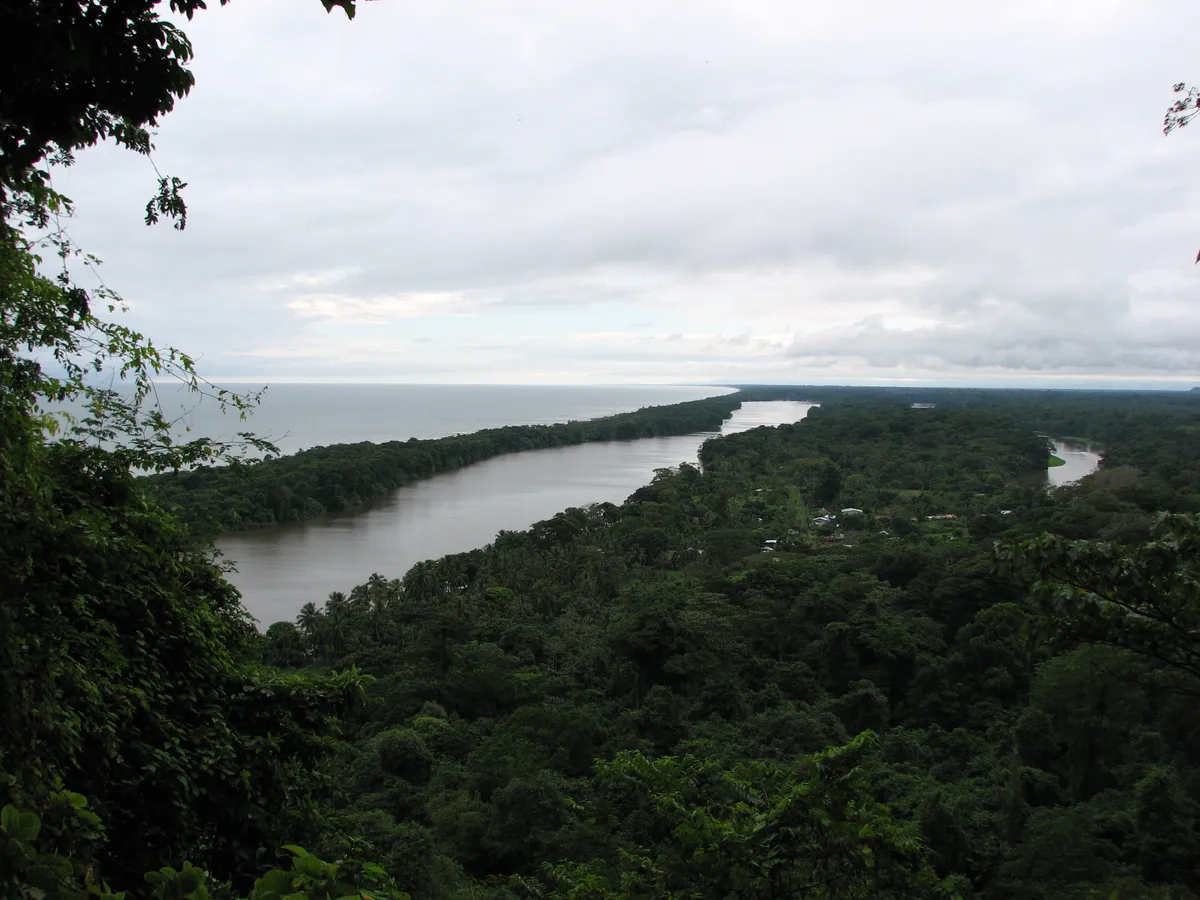 Canoe Tour of Tortuguero National Park