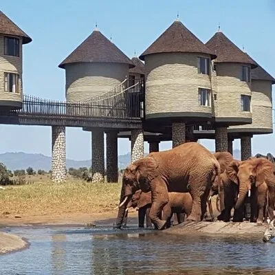 Wild Bond Tours and Safaris