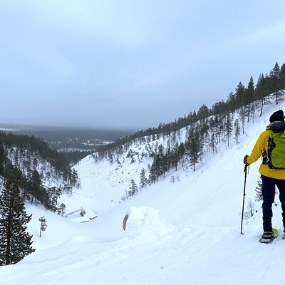 Private Snowshoeing Tour In Pyhätunturi With A Local Guide