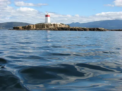 Bruny Island Full-Day Cruise and Sightseeing Tour from Hobart