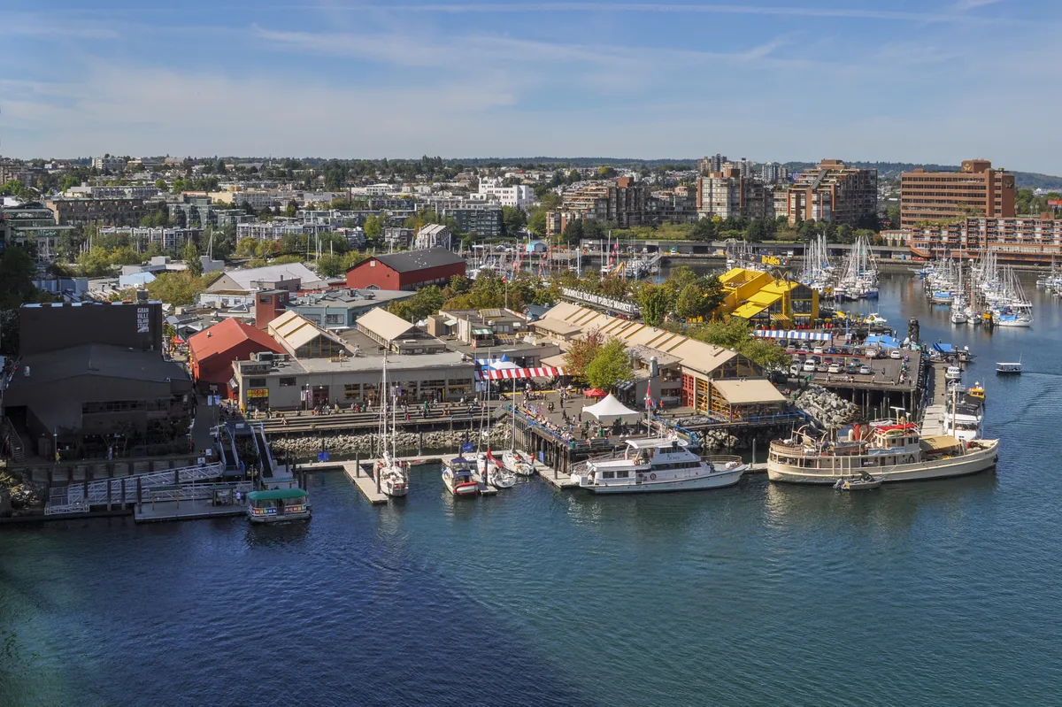 Vancouver City and Seal Colony 90-Minute Scenic Boat Tour