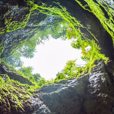 Half Day Tour - Algar do Carvão Lava Route