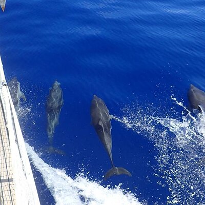 Naxos Sailing Tours