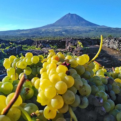 Terralta Nature Tours