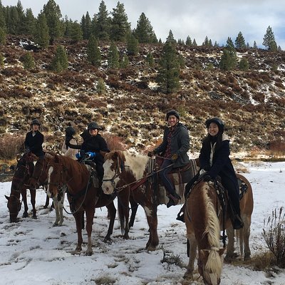Horseback Riding Adventure from Reno