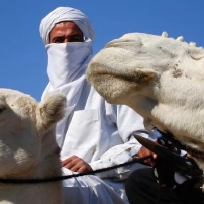 Djerba-Sahara