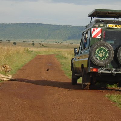 Natural World Kenya Safaris