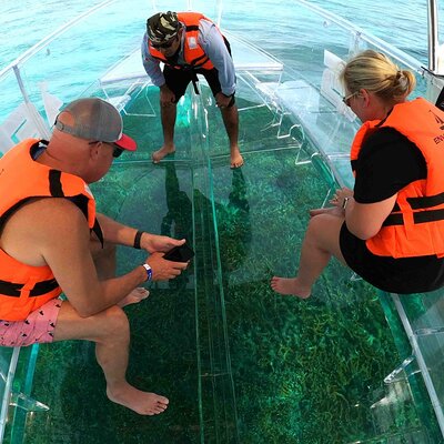 Transparent Boat Tour from Isla Mujeres