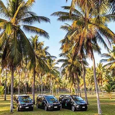 PORT DOUGLAS to HARTLEYS CROCODILES Return Trip Private Transfer