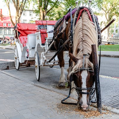 Tour photographique Ville de Québec