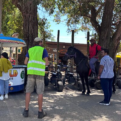 1 Hour Storms River Horse Trails Activity