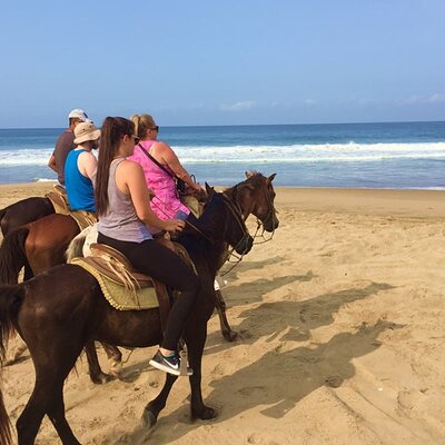 Horseback Riding Playa Larga