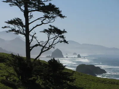 Full-Day Guided Oregon Coast Tour from Portland with Ecola State Park, Cannon Beach, and Haystack Rock