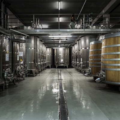 EXPLORATION - Visit of the estate, the cellars & tasting