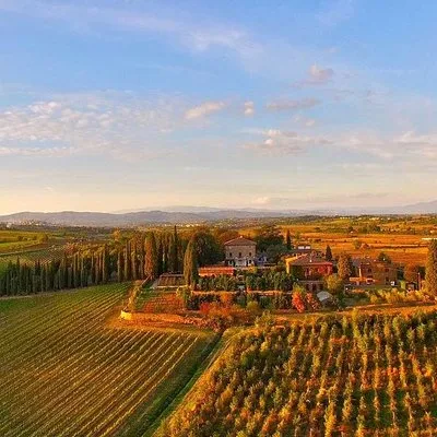 Arezzo: Wine Tasting Experience in Valdichiana area