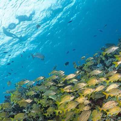 Pocna Dive Center