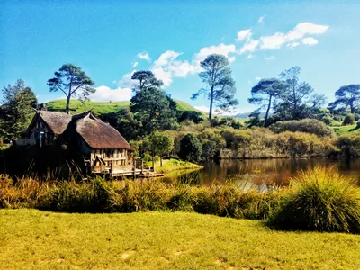 Hobbiton Movie Set Small-Group Guided Day Trip from Auckland