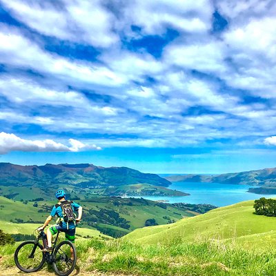 Lava Loop- Guided electric mountain bike tour in Akaroa