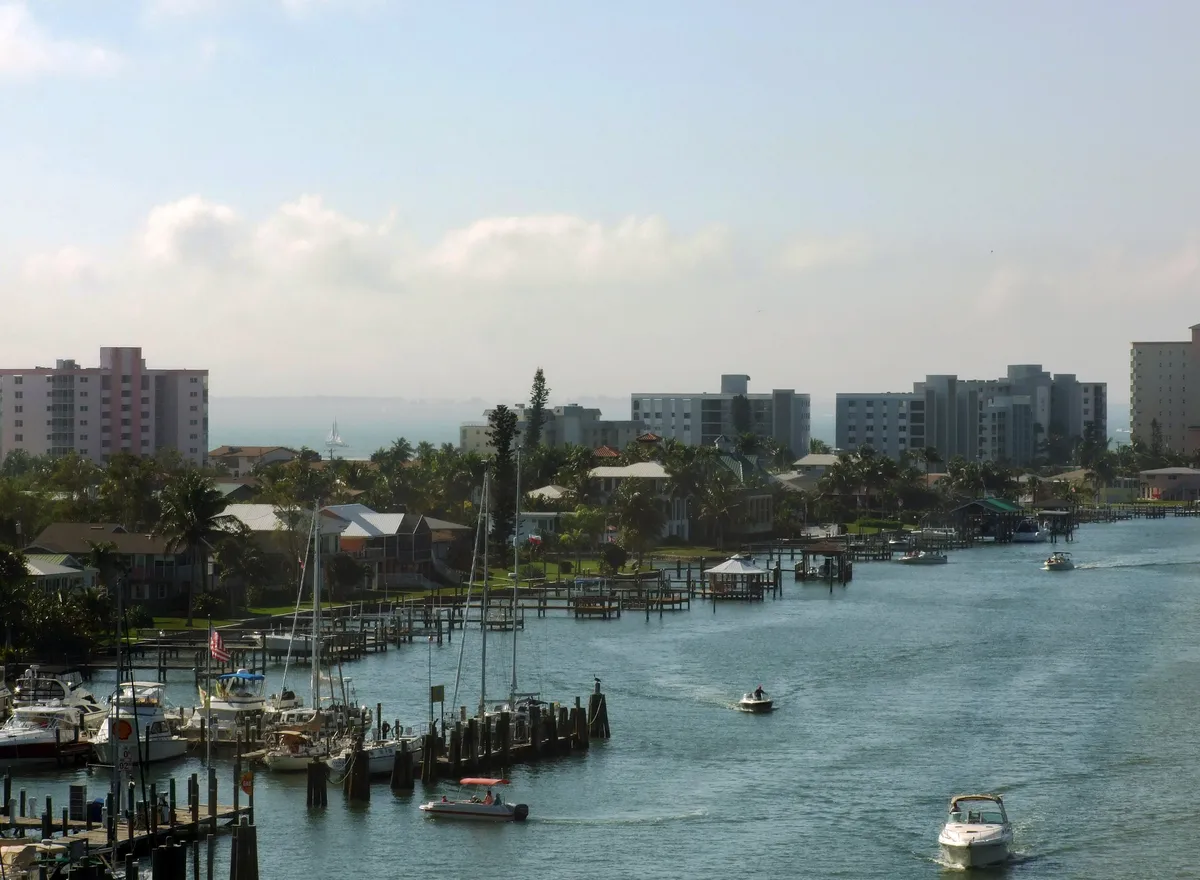 Dolphin and Manatee Wildlife Adventure Tour in Fort Myers