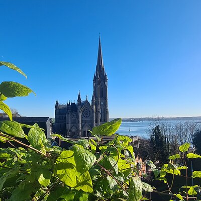 Maurice Kenneally day tours
